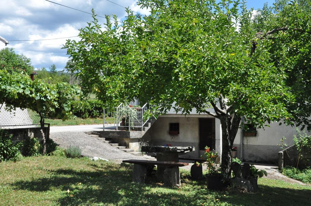 Apartment Marioni Buzet Luaran gambar